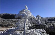 遇见醉美的轿子雪山，这里的“雾凇”美得不像话！