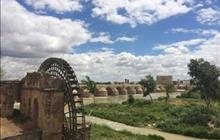 重庆导游为救游客被大象活生生踩死，请做有素质的中国游客！