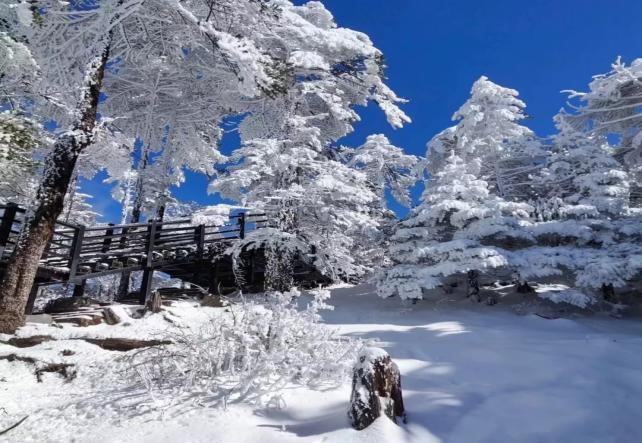 轿子雪山纯玩一日游